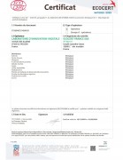 Probiotyk na jelita GR-17 + FOS 17 szczepów 60 kaps IBS SIBO Allvita