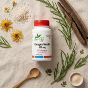 Kolagen Morski Rybi 500 mg 120 kapsułek Bestvit.jpg
